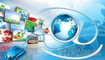 互聯網技術驅動食品產業變革 信息時代的新篇章